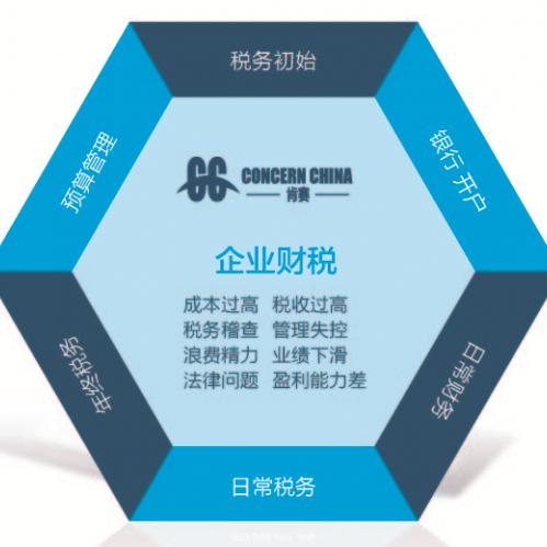 上海一站式財稅與知識產權服務 專業(yè)代理記賬與全方位解決方案